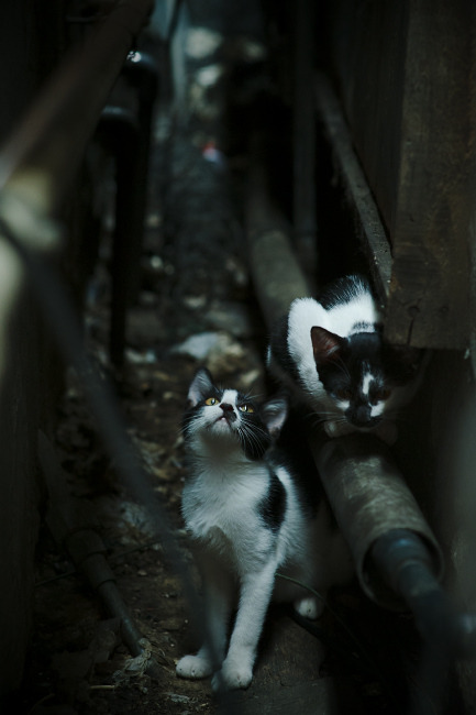 Kaiyun APP-奥预赛中国足球爆冷 球迷反思技术短板，足球爆冷分析