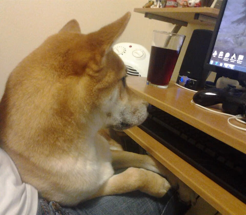 开云体育中国官网-德国队在国际乒联混合团体世界杯中的赛制优势与挑战，德国乒乓球有联赛吗