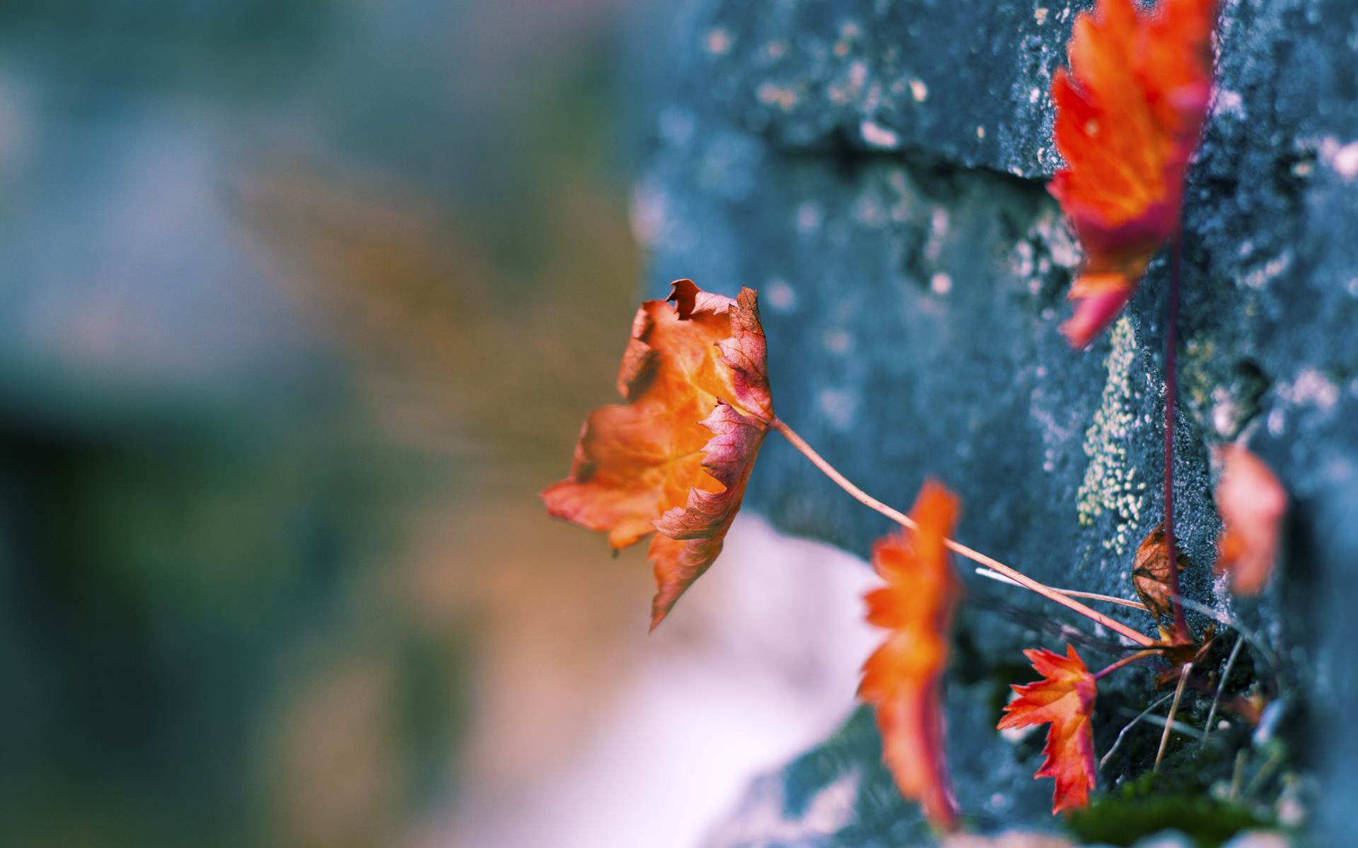 通过技术训练提升乒乓球运动员心理素质，乒乓球运动员如何提高身体素质