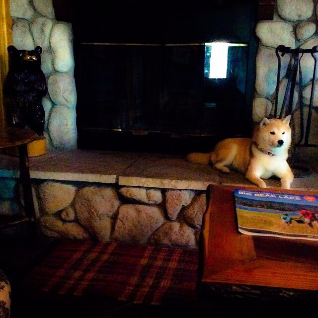 丁俊晖谈低谷期如何挺过来，丁俊晖人生经历