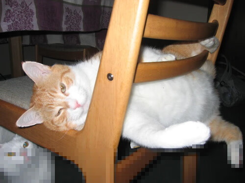 中国足球国家队海外集训成果初显，中国足球国外俱乐部