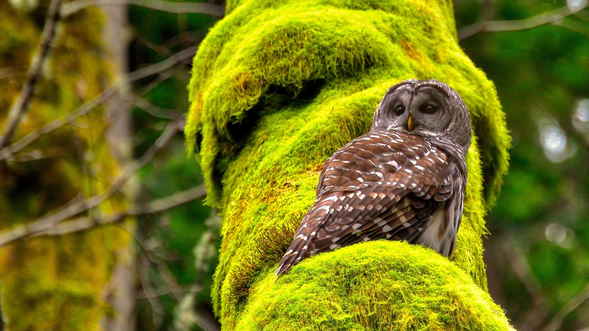 中国足球青少年训练营教学模式创新多样化，青少年足球培训营